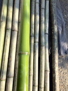 竹洗い状況